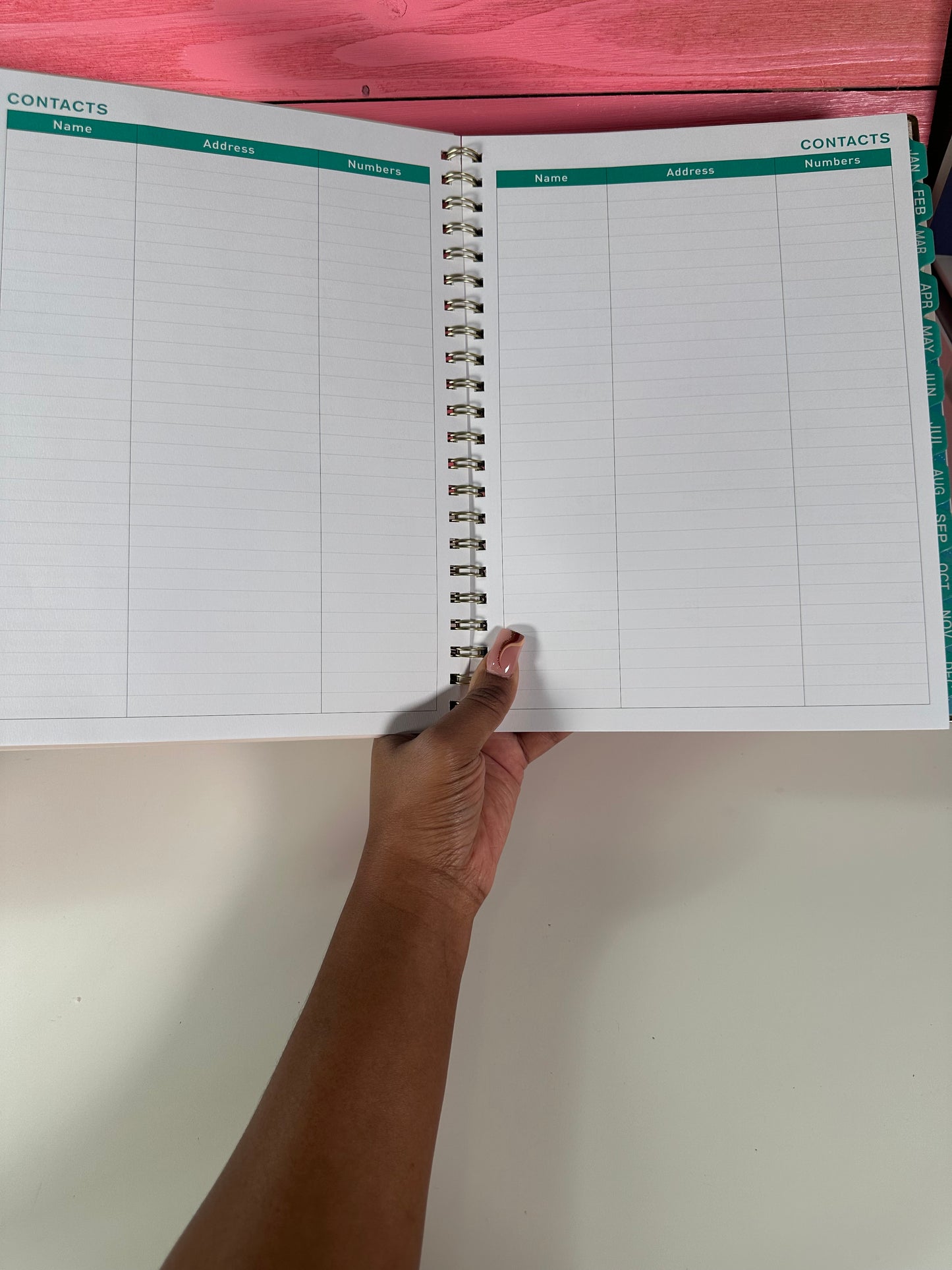 2025 Planner- Curvy Chic